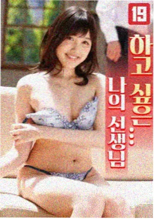 空袭夜航日志 海报